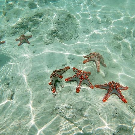 Mambo Paradise Matemwe  Ngoại thất bức ảnh
