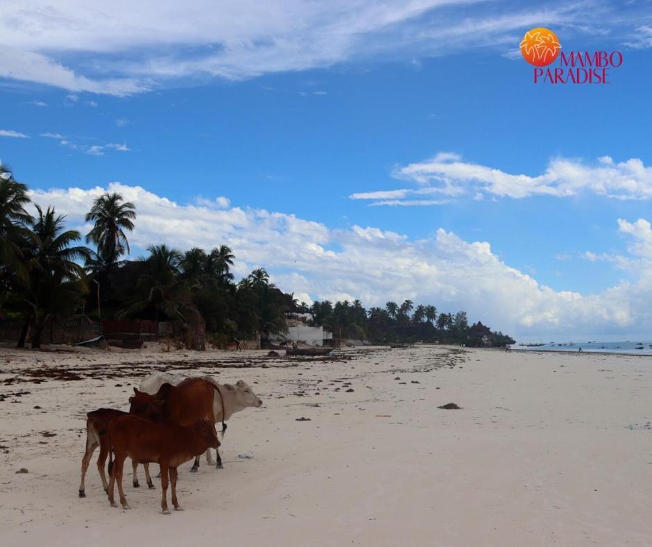 Mambo Paradise Matemwe  Ngoại thất bức ảnh