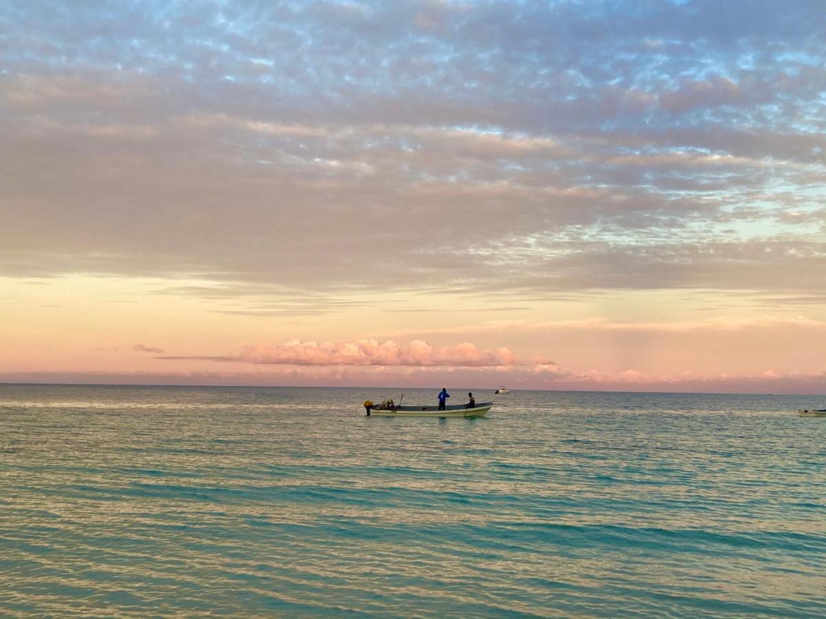 Mambo Paradise Matemwe  Ngoại thất bức ảnh