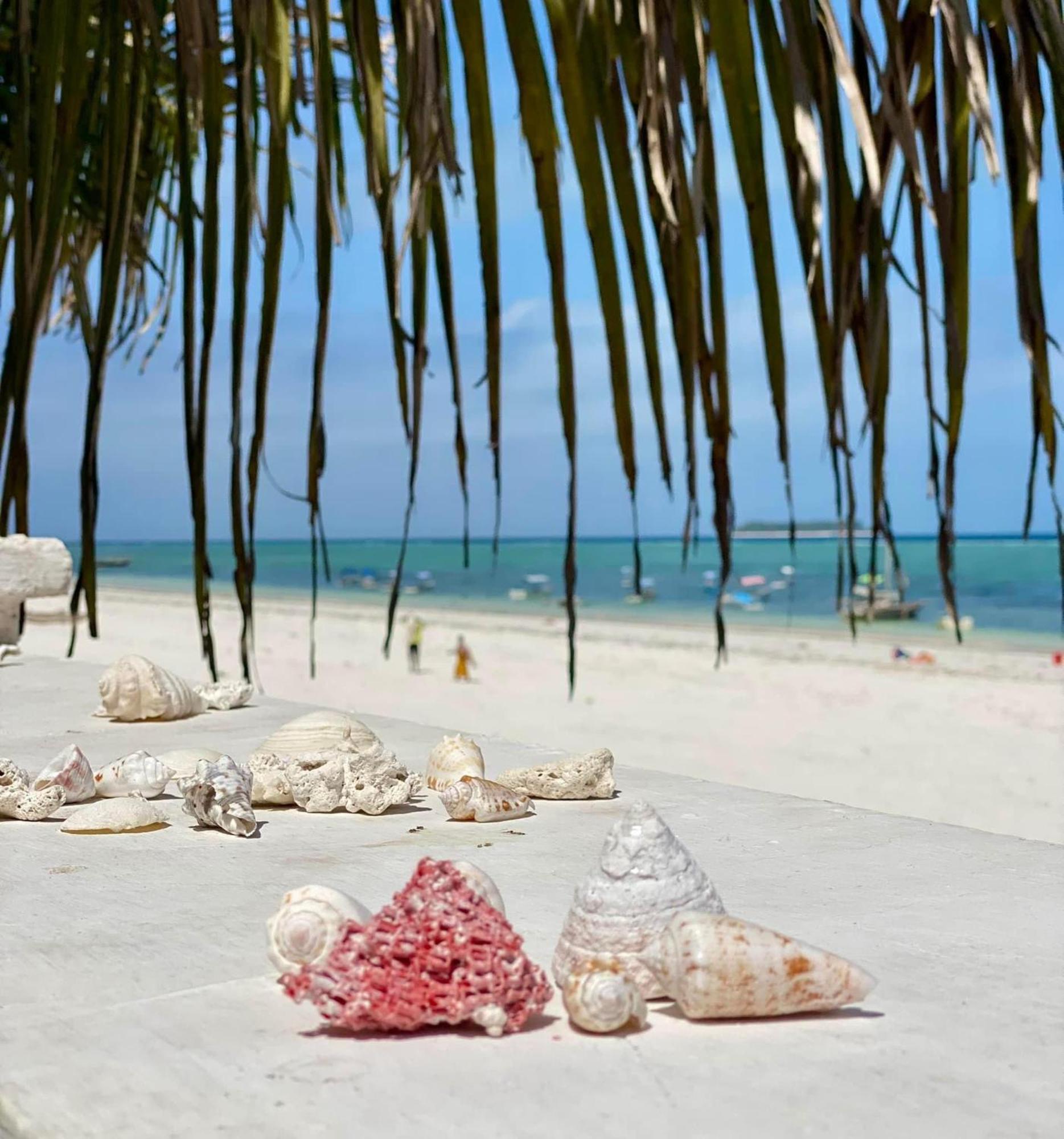 Mambo Paradise Matemwe  Ngoại thất bức ảnh